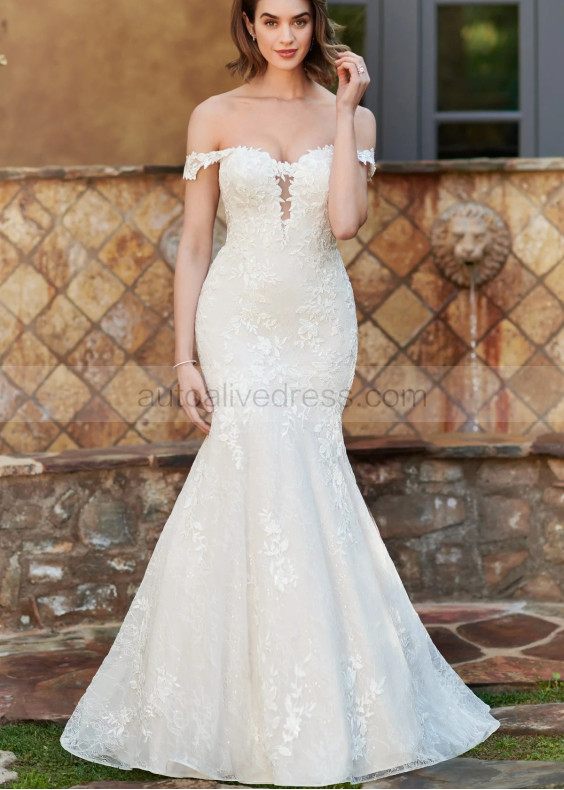 Ivory Lace Tulle Wedding Dress With Detachable Sleeves